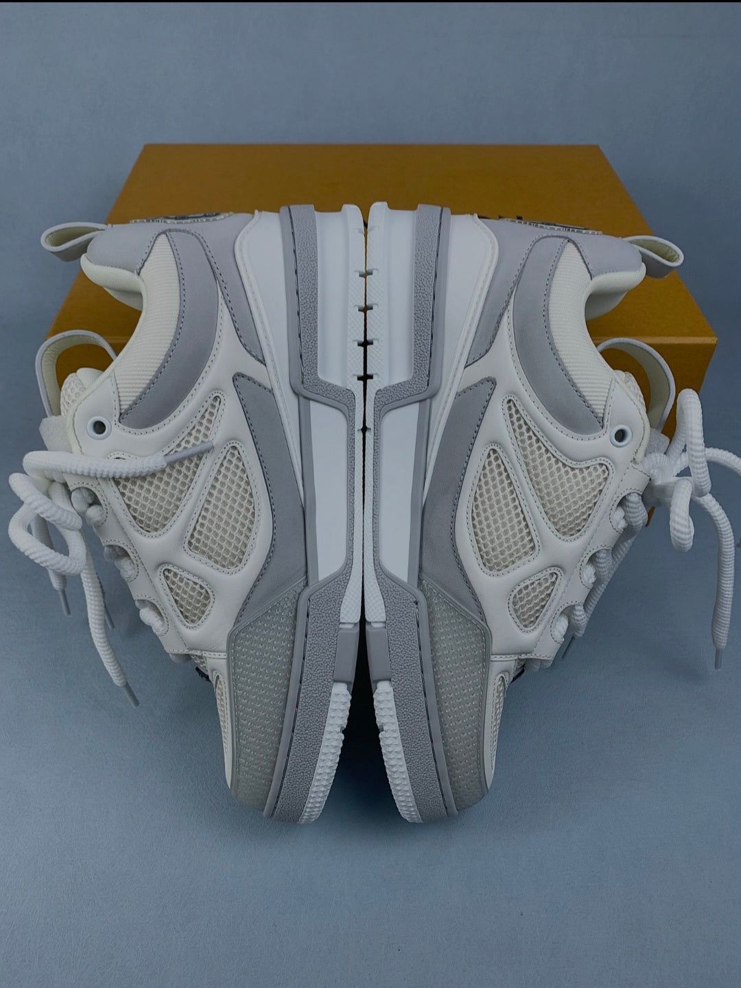 Baskets Louis Vuitton Skate
