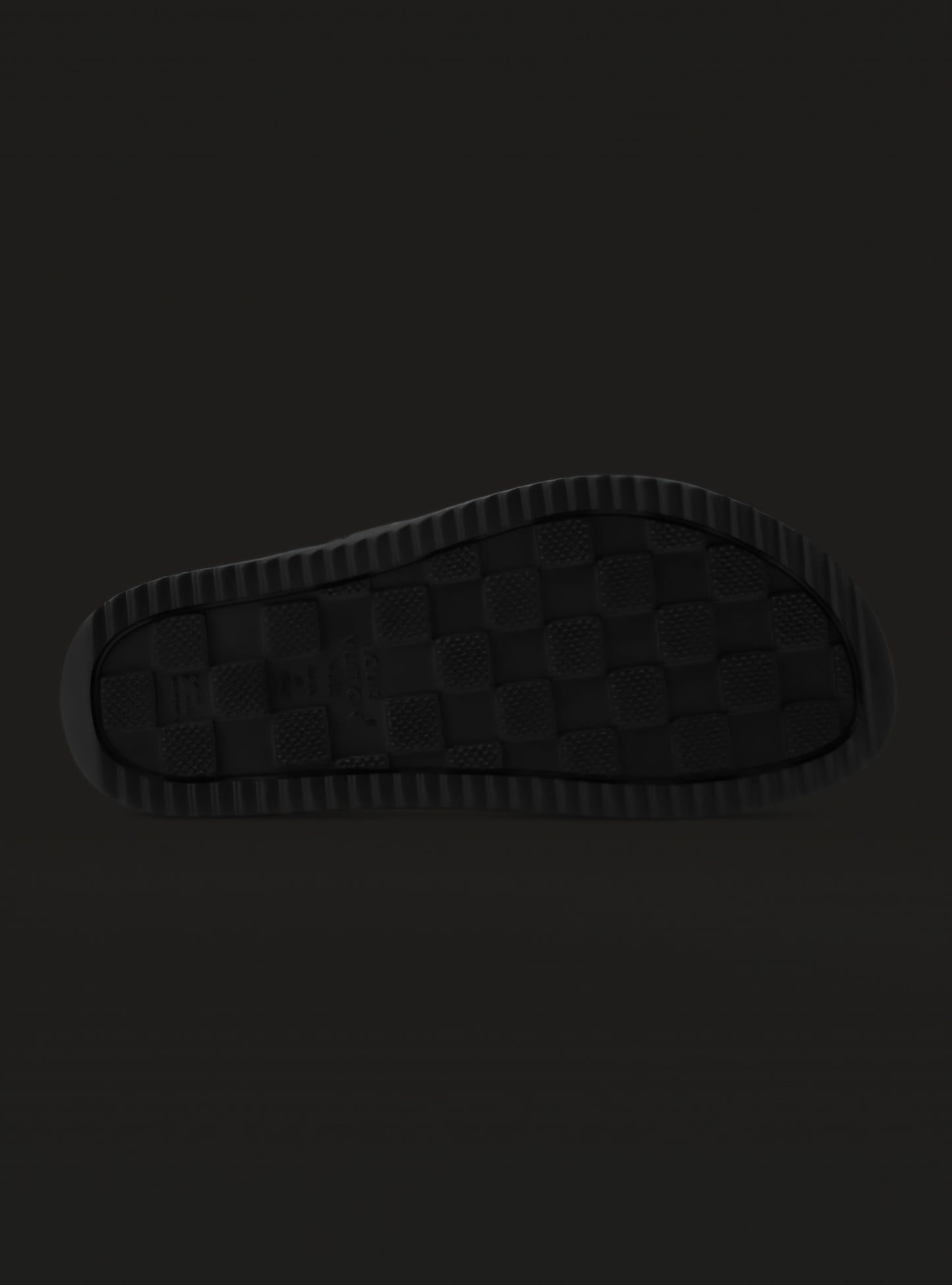 Chanclas Louis Vuitton