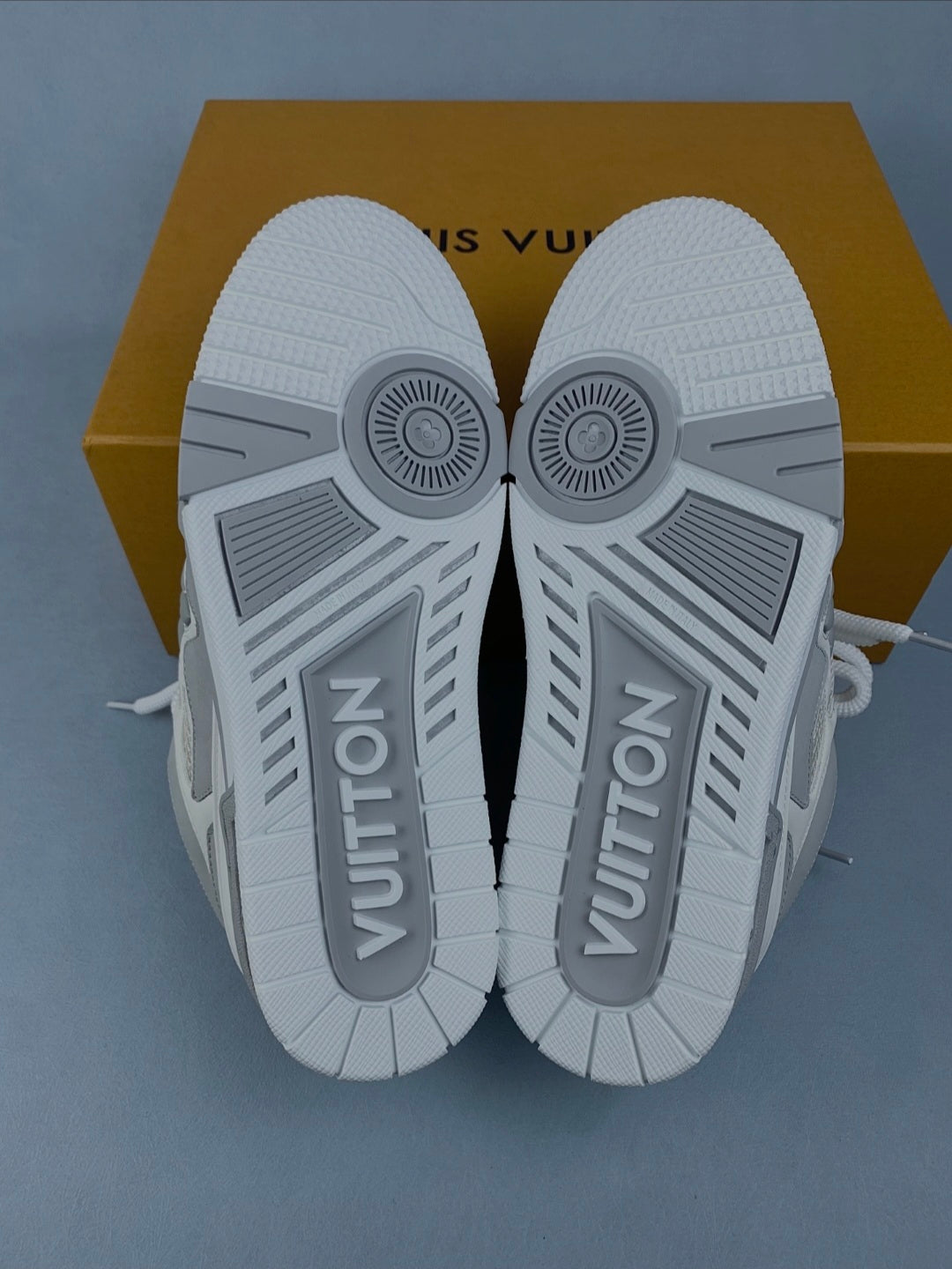 Baskets Louis Vuitton Skate