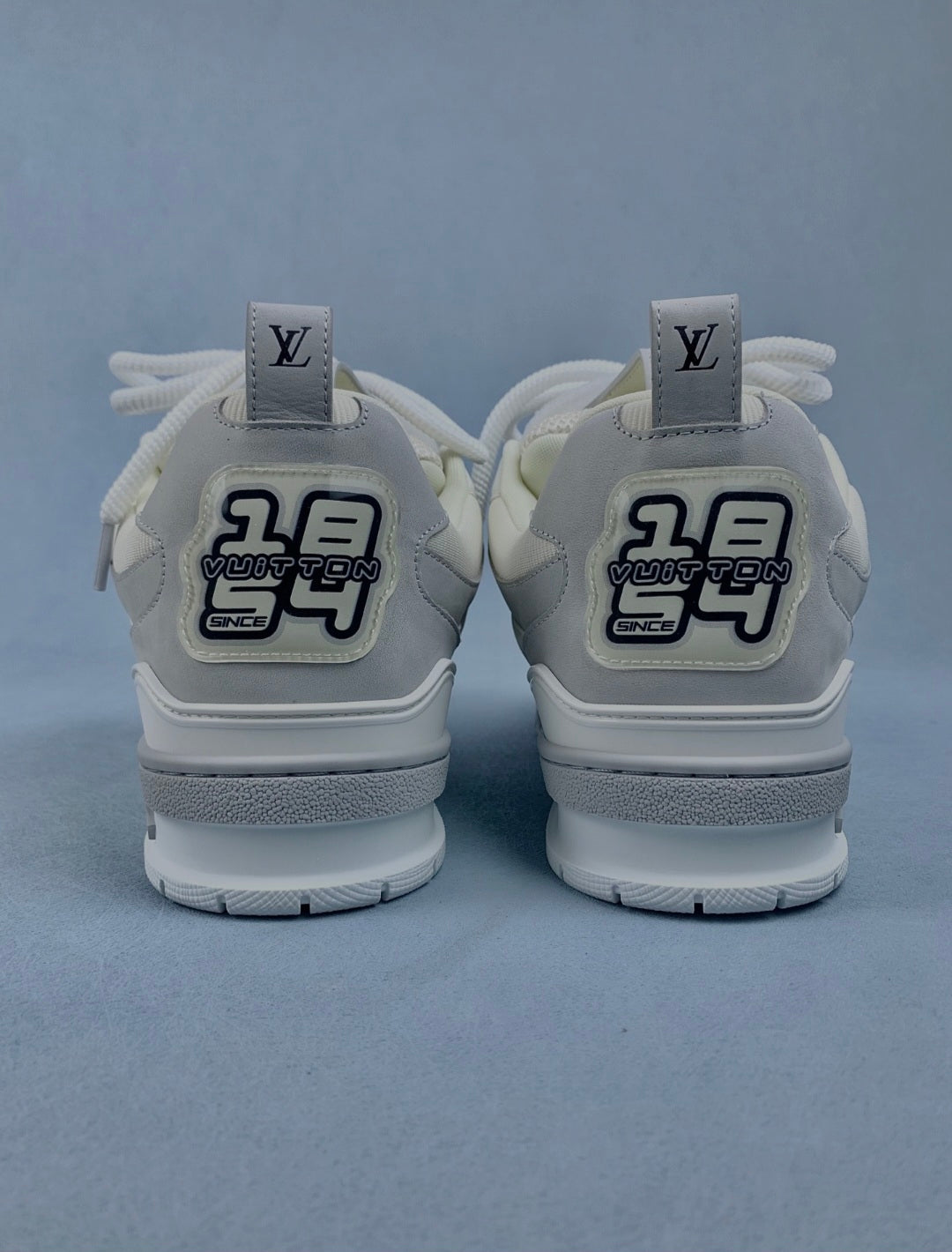 Baskets Louis Vuitton Skate
